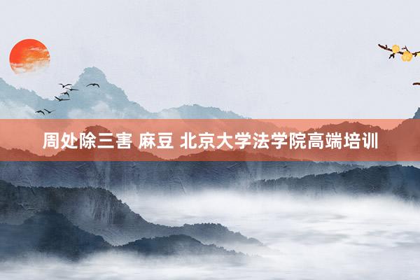 周处除三害 麻豆 北京大学法学院高端培训