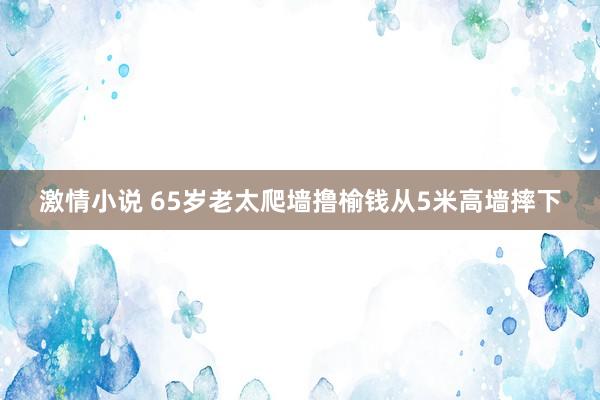 激情小说 65岁老太爬墙撸榆钱从5米高墙摔下