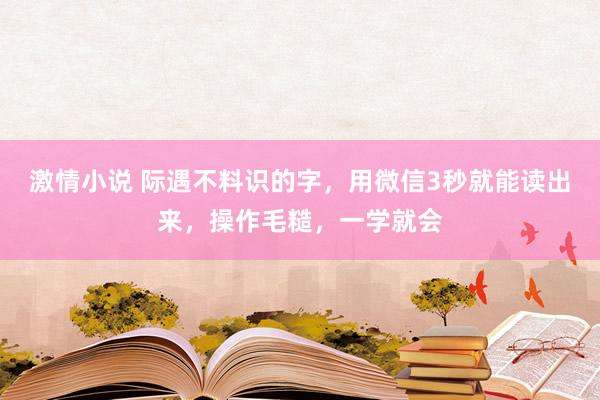 激情小说 际遇不料识的字，用微信3秒就能读出来，操作毛糙，一学就会
