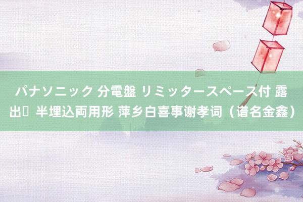 パナソニック 分電盤 リミッタースペース付 露出・半埋込両用形 萍乡白喜事谢孝词（谱名金鑫）