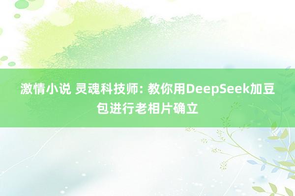 激情小说 灵魂科技师: 教你用DeepSeek加豆包进行老相片确立